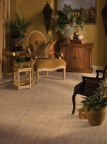 Karastan brown carpet