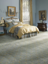 Karastan gray carpet