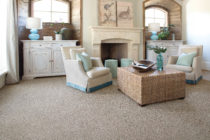 Karastan gray carpet