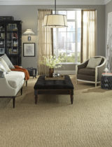 Karastan brown carpet