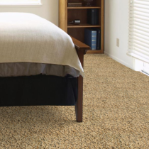 Color Straw Dream Weaver carpet