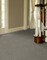 Hibernia gray carpet