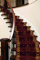 Kane maroon carpet