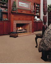 Hibernia brown carpet