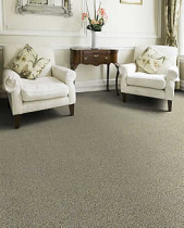 Hibernia gray carpet