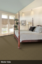Lexmark brown carpet