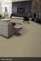 Lexmark brown carpet