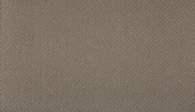 Captivating Beauty in Tranquil Taupe